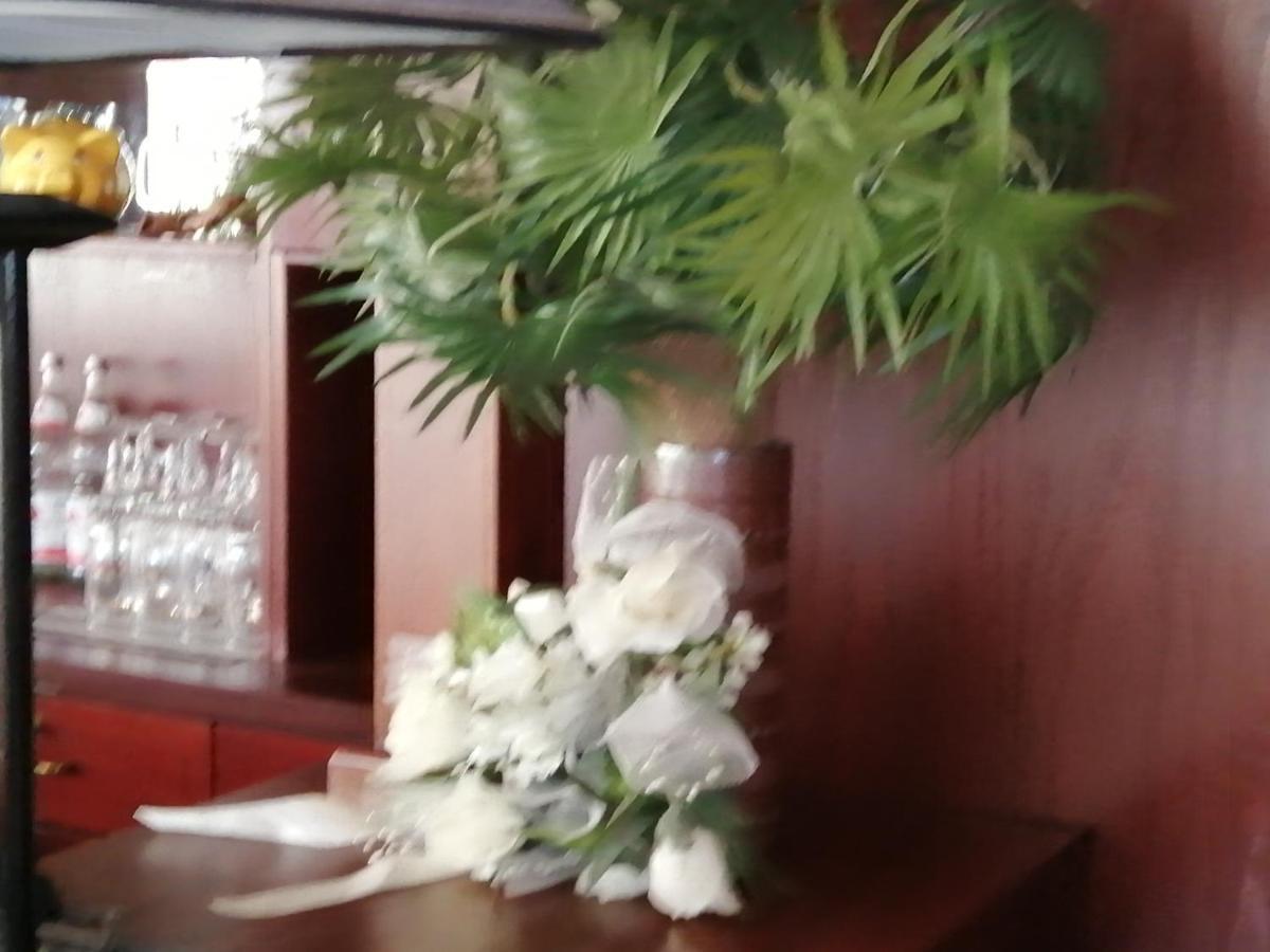 Edit Pension Rossau Ngoại thất bức ảnh